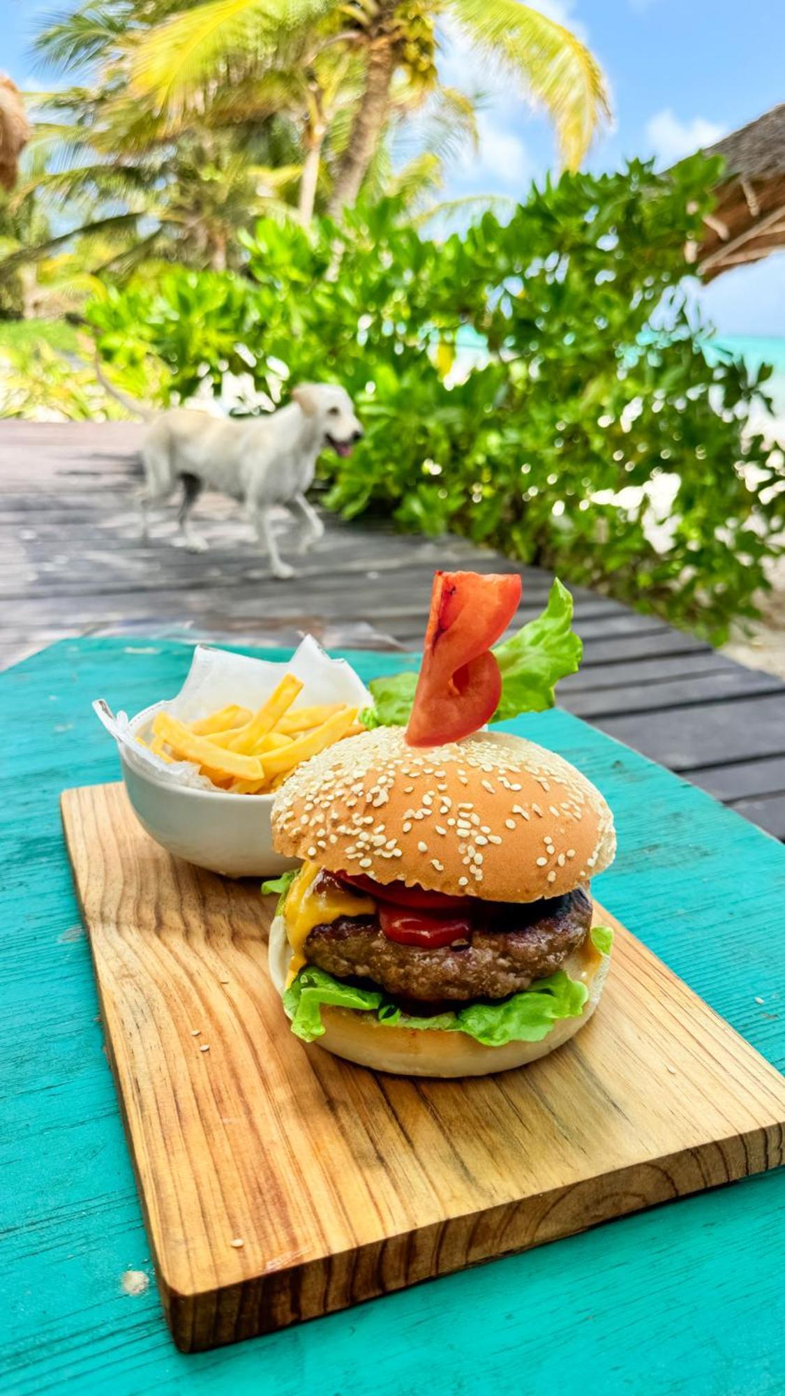 Pronoia Casa De Playa * Mahahual