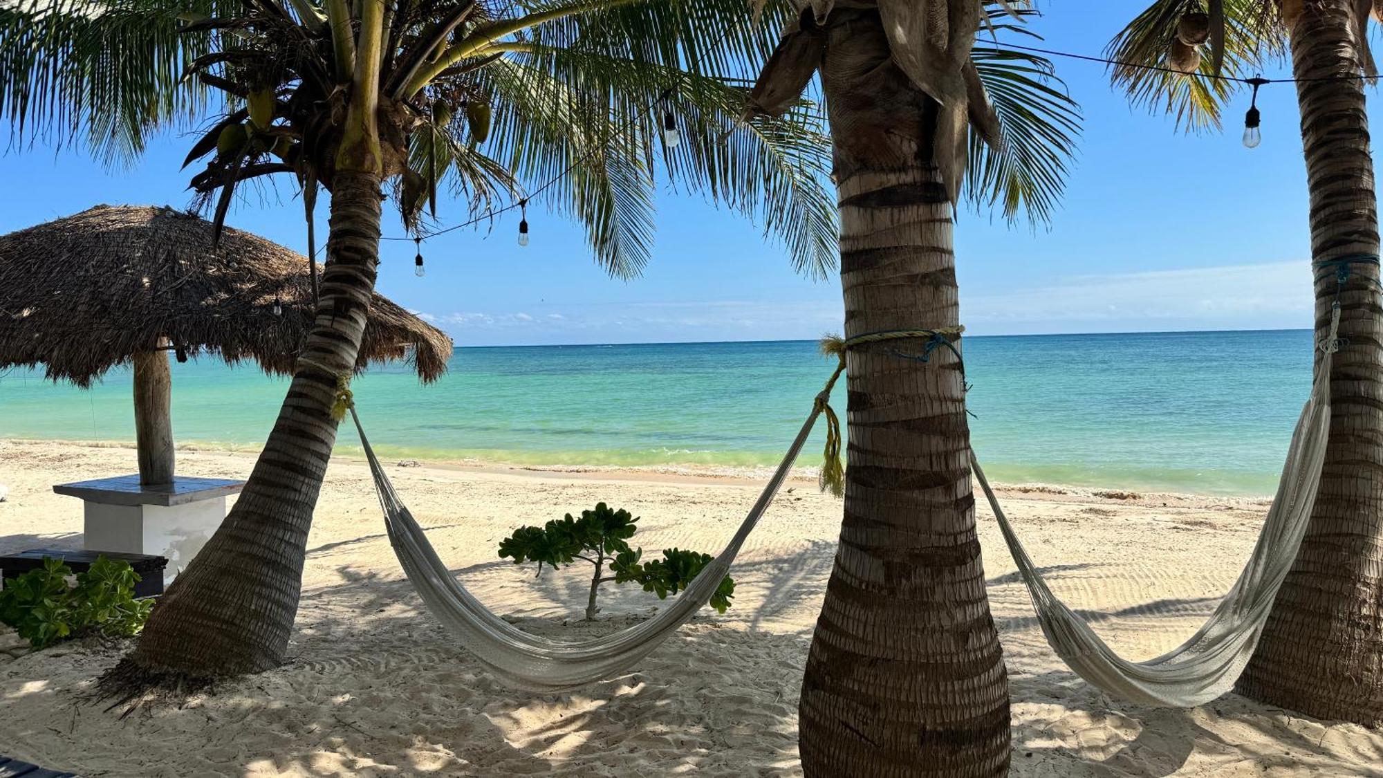Pronoia Casa De Playa Mahahual